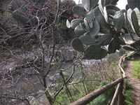 cantara gurne23122011 147